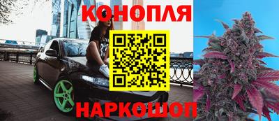стафф Абакан